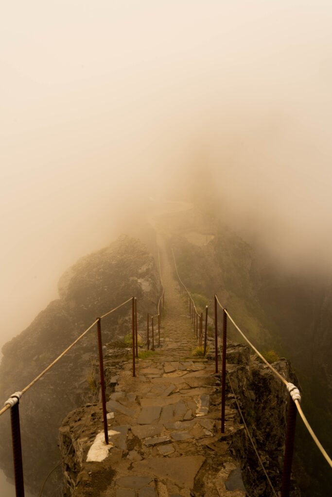 Steps leading down an unknown, misty path