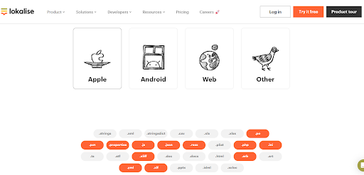 a screenshot of Lokalise with the file formats available for a website